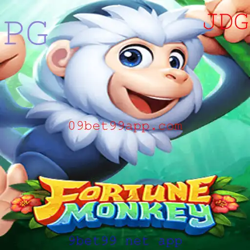 9bet99 net app Jogos de cartas
